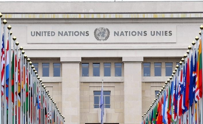 BM İnsan Hakları Yüksek Komiserliği 