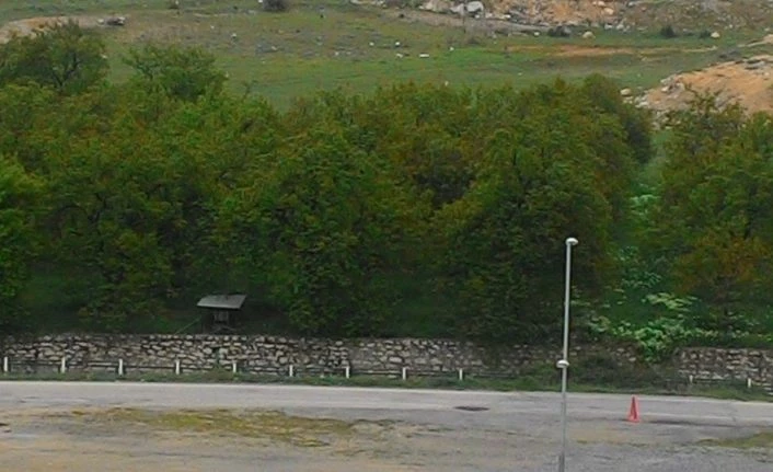 Darende’de zirai don ve monilya hastalığı kayısılarda sorun