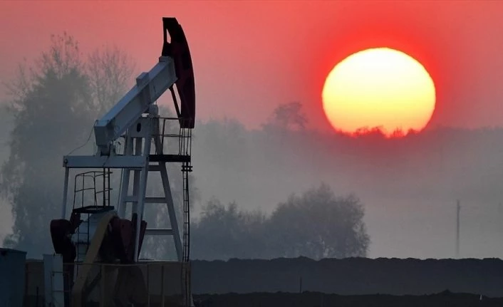 Fitch petrol fiyatları öngörüsünü düşürdü