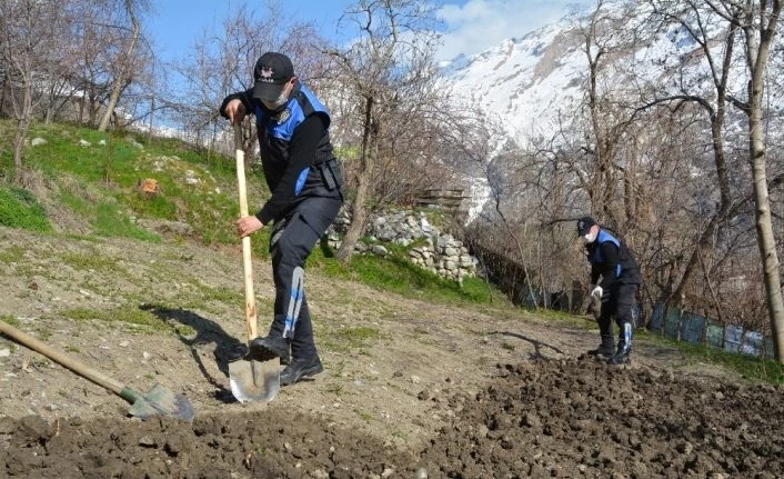 Hakkari polis kürekle toprak eşeleyip şehit ailesi için bostan yaptı