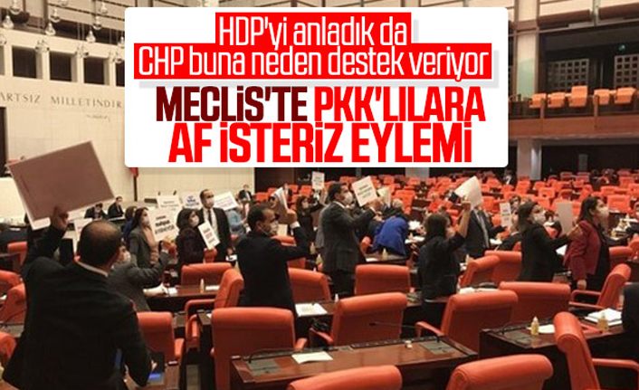 HDP'liler PKK için Meclis'te infaz yasasını protesto etti