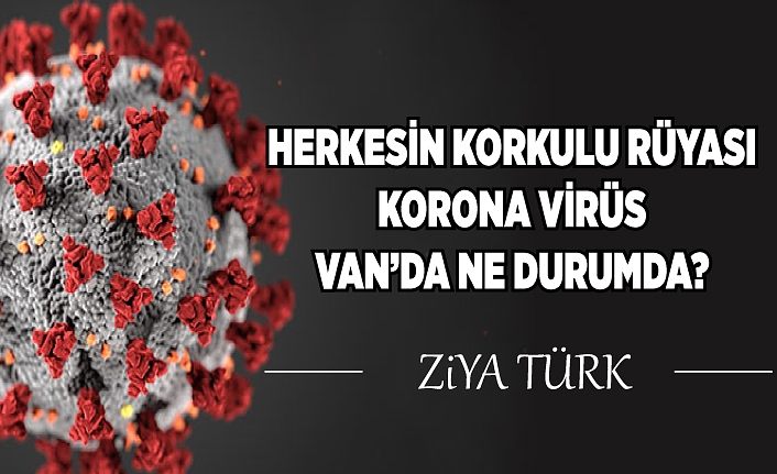 HERKESİN KORKULU RÜYASI KORONA VİRÜS VAN’DA NE DURUMDA?