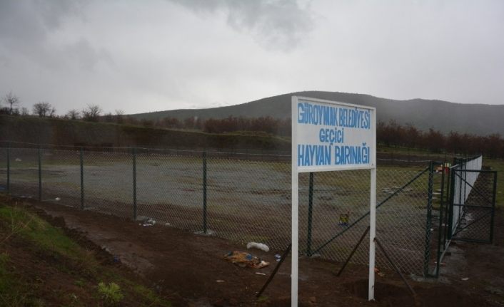 Kaymakam Sancaktutar, geçici hayvan barınağında incelemelerde bulundu