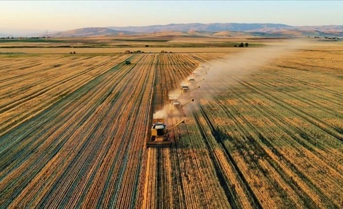 Kırsal kalkınma için 228 projeye 195 milyon lira hibe sağlanacak