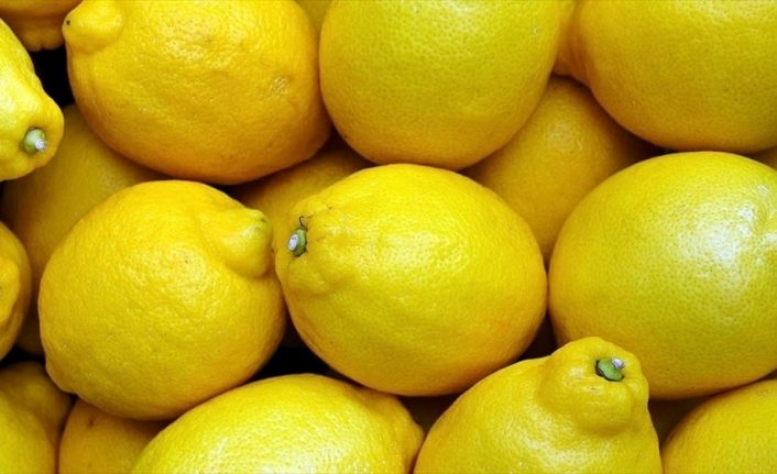 Limon fiyatlarına ihracat ayarı