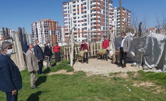 Malatya’da Bakan Soylu için koç kesildi