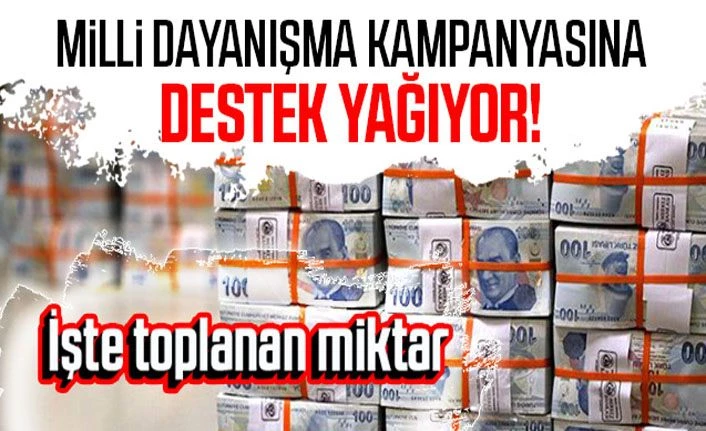 Milli Dayanışma Kampanyası'na destek yağıyor! İşte toplanan para miktarı