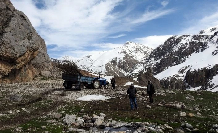 Munzur Dağları yeşillenecek