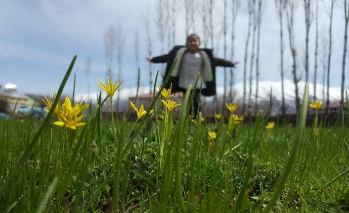 (Özel) Bitlis’te baharın müjdesi çiçeklerden renk cümbüşü