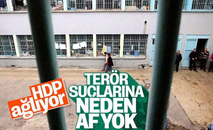 PKK'ya af çıkmayınca HDP tepki gösterdi