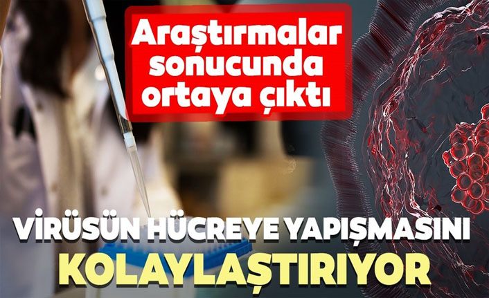 Sigara virüsün hücreye yapışmasını kolaylaştırıyor