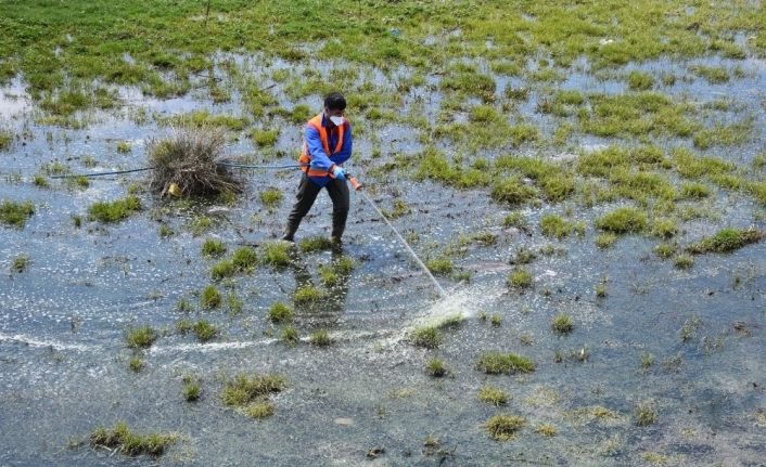 Tatvan Belediyesi larva üreme noktalarını ilaçlıyor