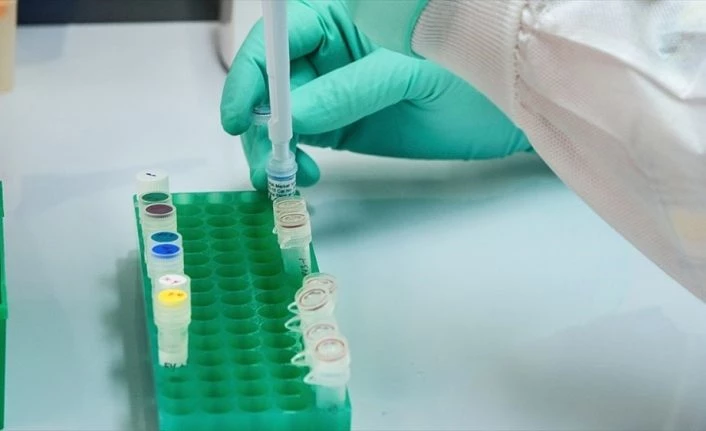 Türk bilim insanları Kovid-19