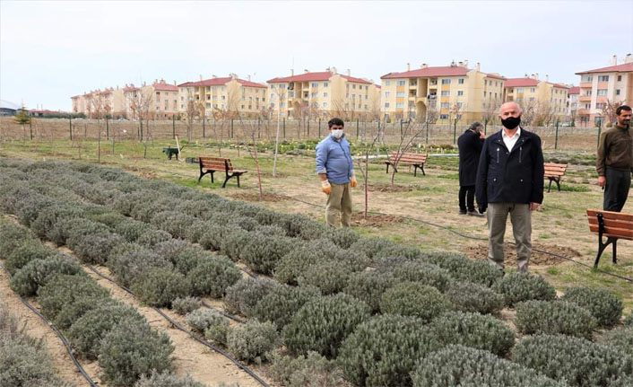 Tuşba Belediye Başkanı Akman ve Van YYÜ Rektörü Şevli Millet Bahçesi alanını inceledi