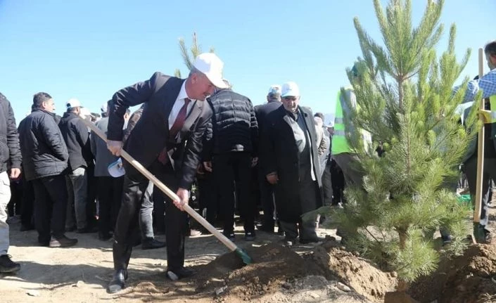 Tuşba Belediyesinden ‘Model Ceviz Bahçesi’ Projesi