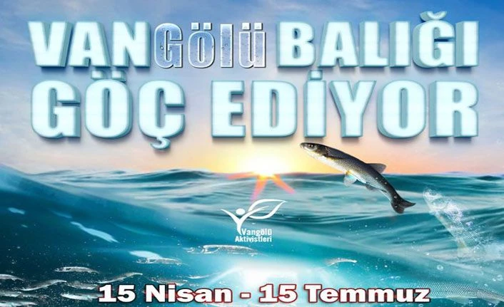 Van Gölü Aktivistleri Derneği: Van Gölü Balığının avlanmasına müsaade etmeyelim