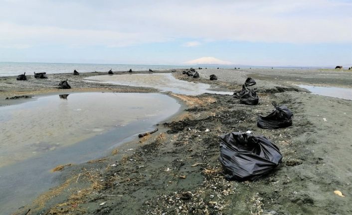 Van Gölü sahillerinde 100 ton atık çöp toplandı