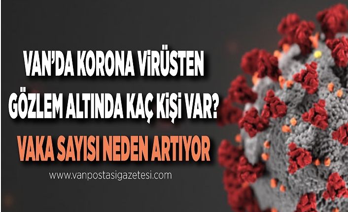 Van’da korona virüsten gözlem altında kaç kişi var? İşte Van’daki son korona virüs rakamları!