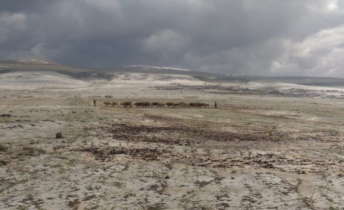 Ardahan’da dolu ekili alanlara zarar verdi