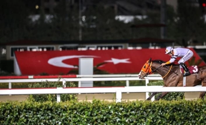 Atçılık camiasından yarışların başlatılması talebi