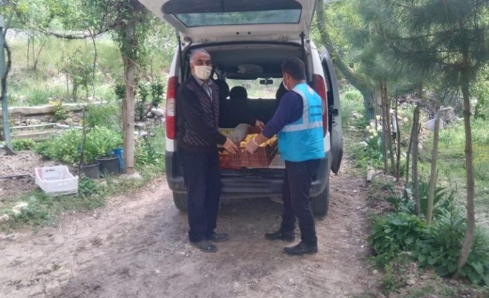 Bahçesinde yetiştirdiği elmaları kampanyaya bağışladı