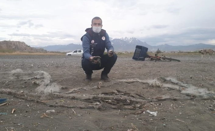 Van'da bisikletli kaçak avcı, avladığı 150 kilogram balığı bırakıp kaçtı