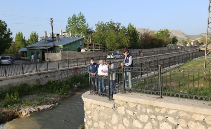 Van'da dereye doğru göç eden inci kefalleri için komisyon kuruldu