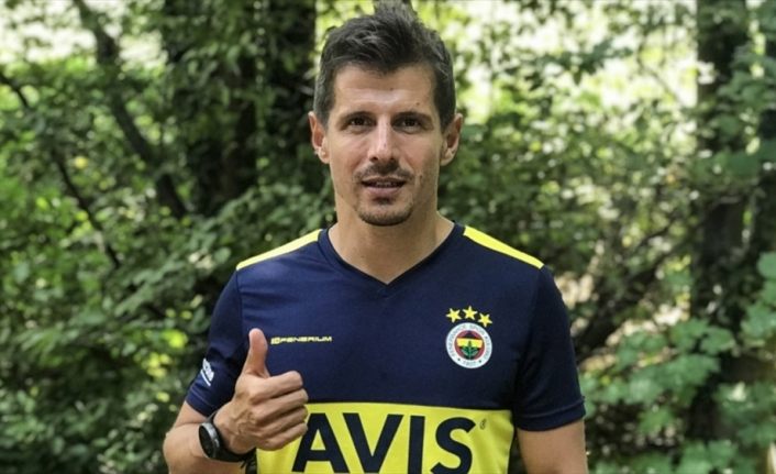 Emre Belözoğlu, Fenerbahçe