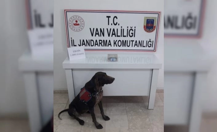 Erciş’te toprağa gömülü eroini Rasif buldu