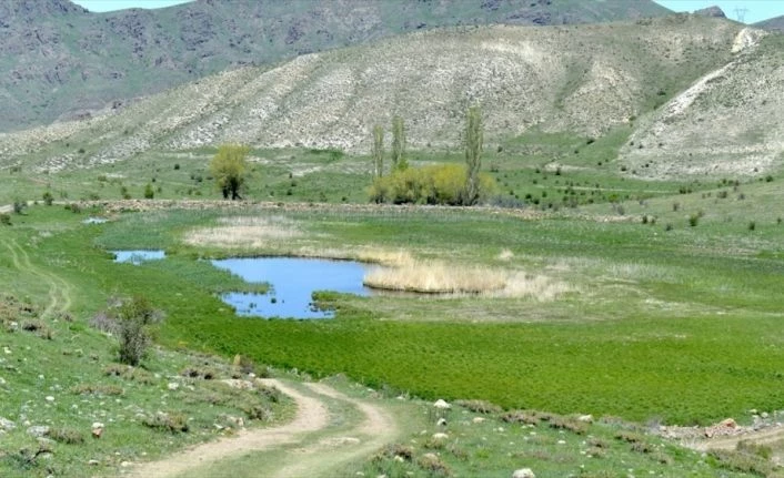 Erzurum
