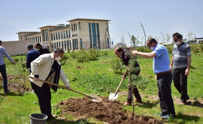 ETÜ’de yeni fidanlar can buldu