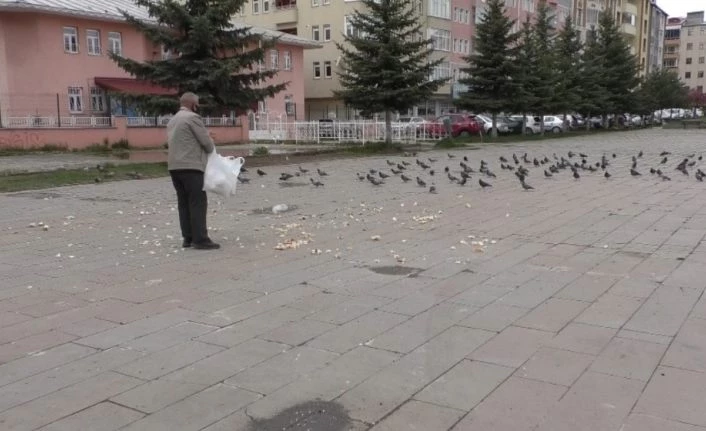 Evine aldığı ekmeği güvercinlere verdi