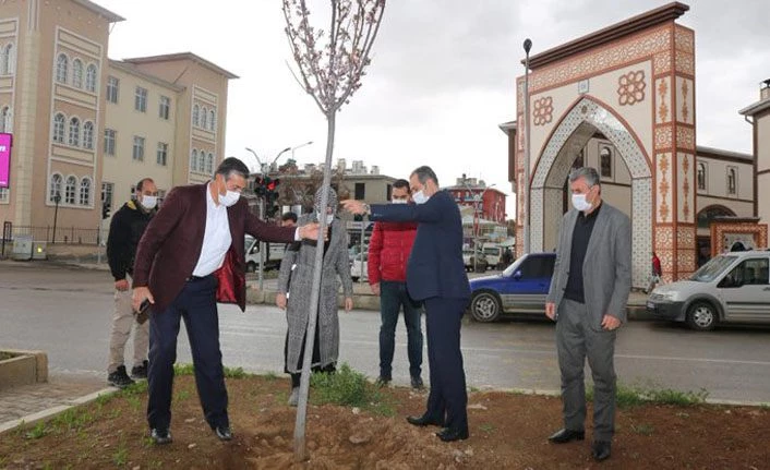 Gürpınar Belediye Başkanı Hayrullah Tanış çalışmaları hızlandırın talimatı