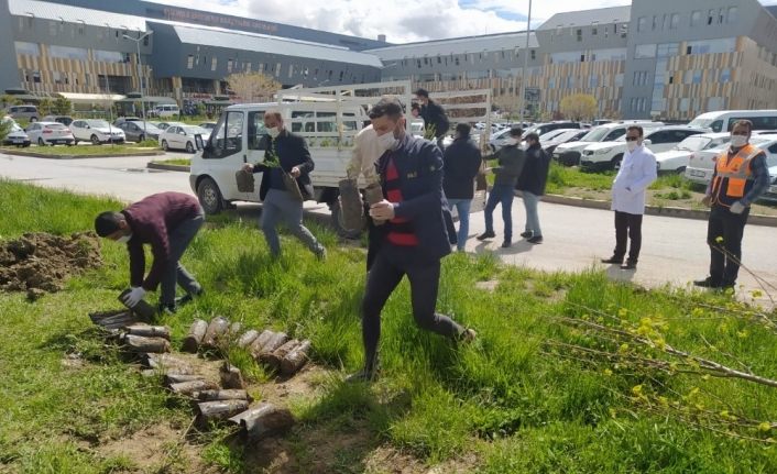 Gürpınar Belediyesinden “Bu Benim Fidanım” projesine destek