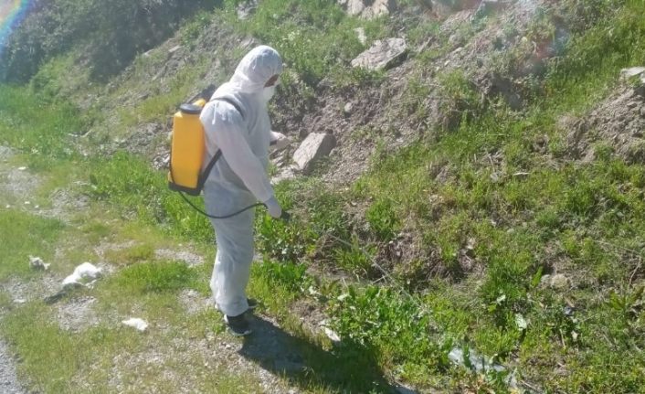 Hakkari’de dere yatakları larvalara karşı ilaçlanıyor