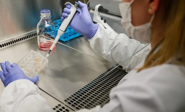 Hepatit C ilaçlarının Kovid-19 tedavisinde potansiyel adaylar olduğu belirlendi