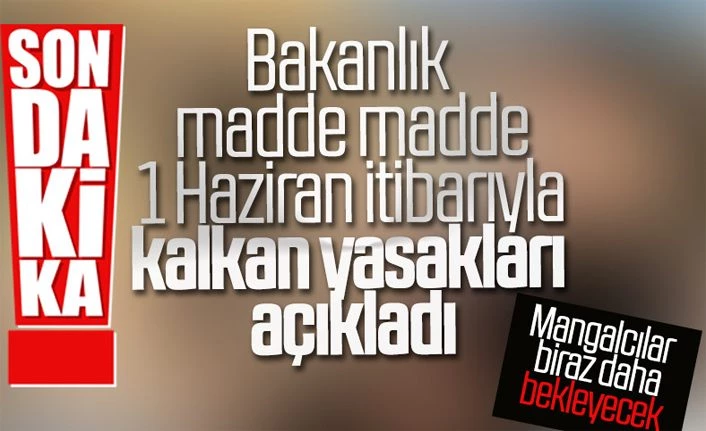 15 ildeki seyahat kısıtlaması yarın gece sona erecek.. 1 Haziran itibariyle hangi yasaklar kalktı?