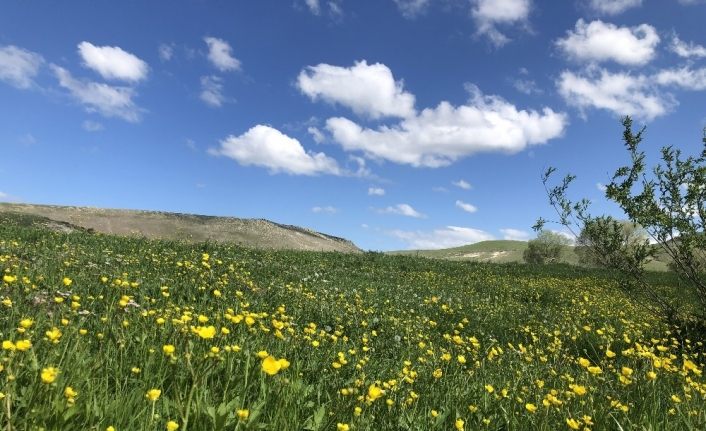 Kars 4 mevsim bir başka güzel