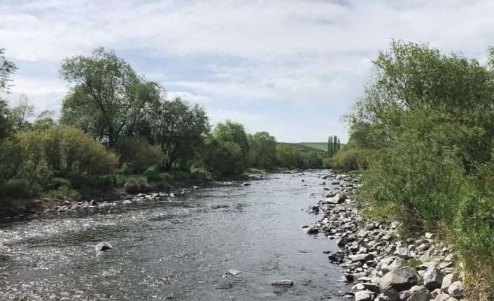 Kars Barajı’ndan balıklara ‘can suyu’ verildi