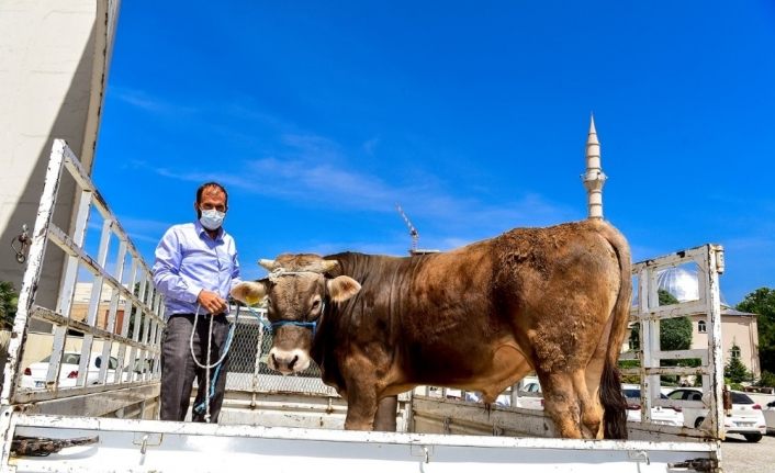 Milli Dayanışma Kampanyası’na anlamlı destek