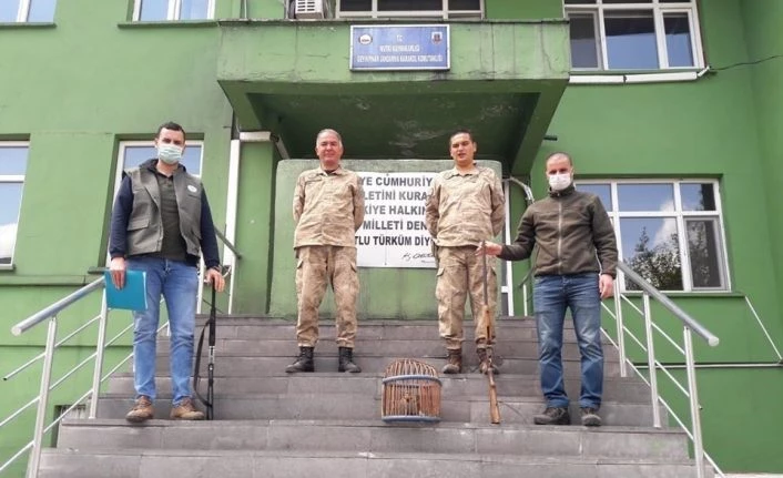 Mutki’de ’canlı mühre’ olarak kullanılan 1 keklik ele geçirildi
