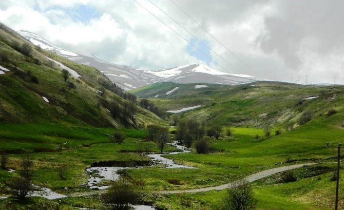 Posof’da muhteşem bahar manzarası