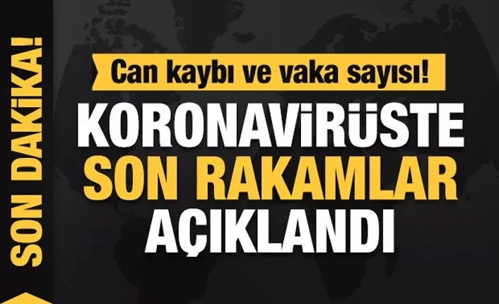 Sağlık Bakanlığı: Türkiye'de koronavirüs nedeniyle can kaybı 4.431'e yükseldi 27 Mayıs 2020