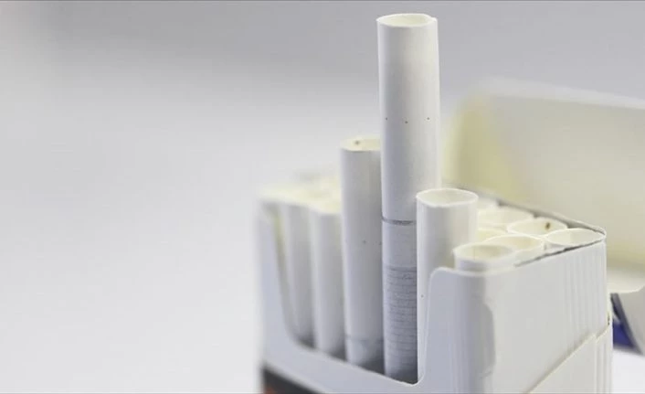 Tütün ürünleri kullanımı dünyada her yıl 8 milyon insanın ölümüne yol açıyor