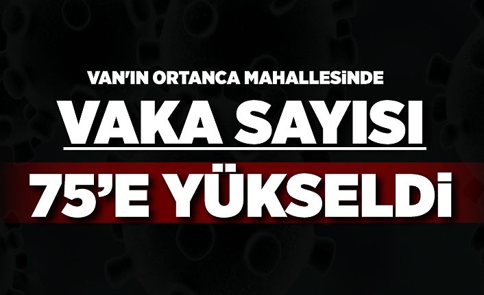 Van'ın Ortanca Mahallesinde vaka sayısı 75’e yükseldi