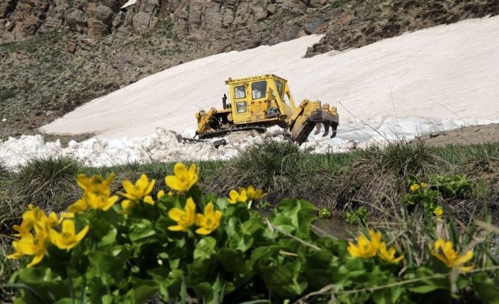 Van Büyükşehir belediyesi, atlarla ulaşımı sağlanan mezra yollarını açtı