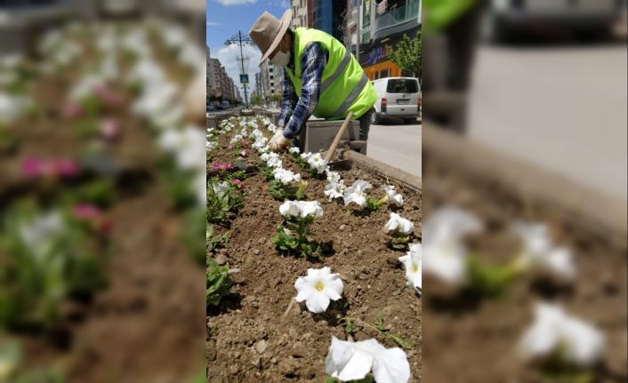 Van Büyükşehir Belediyesinden bayramda çiçek mesaisi