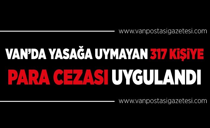 Van’da yasağa uymayan 317 kişiye para cezası uygulandı