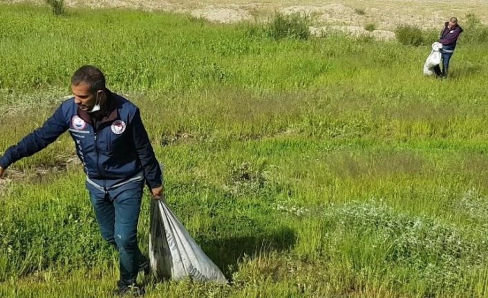 Van’da kaçak avlanmış 2 ton balığa el konuldu