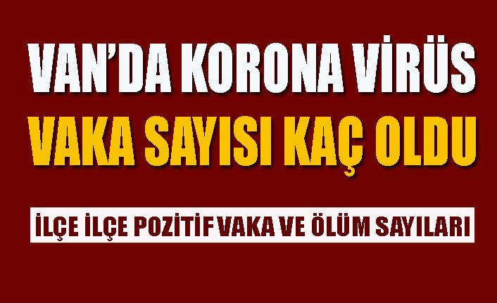 Son dakika!.. Van’da pozitif vaka sayısı 448’e ulaştı. İşte ilçe ilçe vaka sayıları